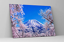 Obraz Zasnežená Hora Fuji 1380